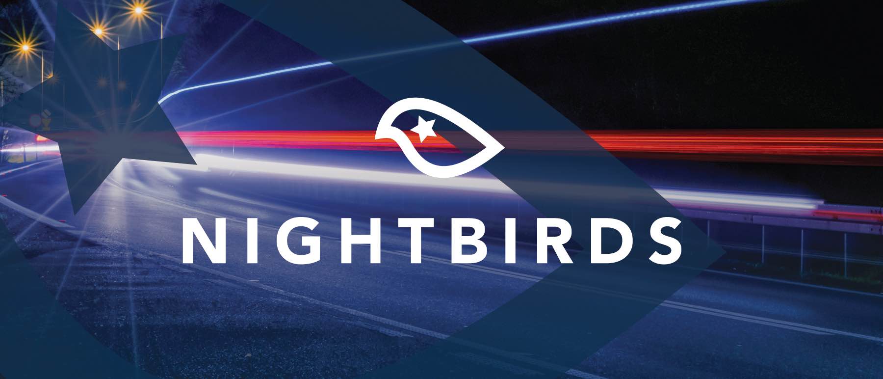 Night Driving Glasses NightBirds Vision